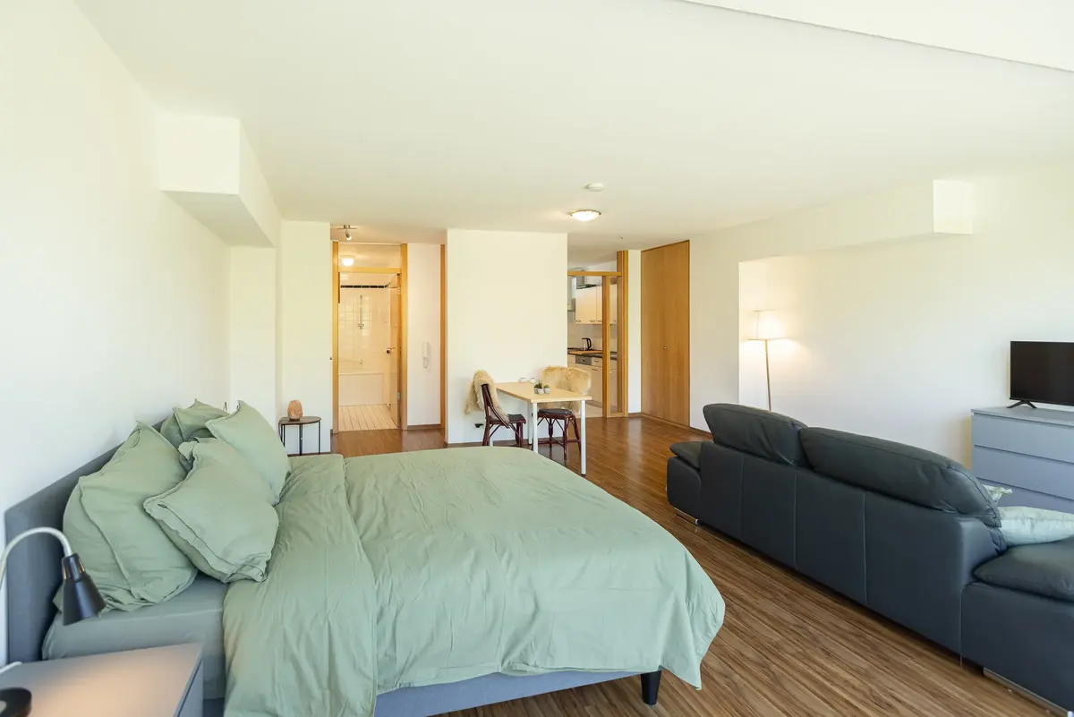 Studio, 1-Zimmer-Apartment, CopperRoof Apartments Merseburg, Ansicht 5