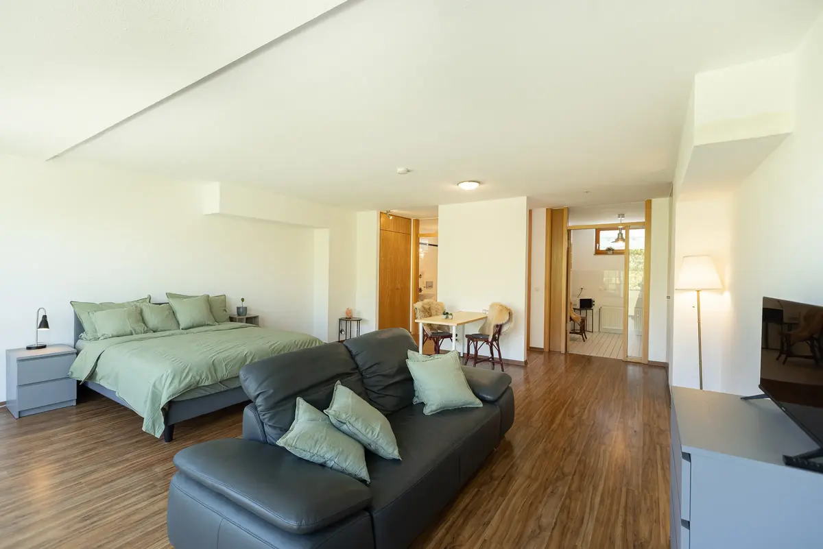 Studio, 1-Zimmer-Apartment, CopperRoof Apartments Merseburg, Ansicht 7