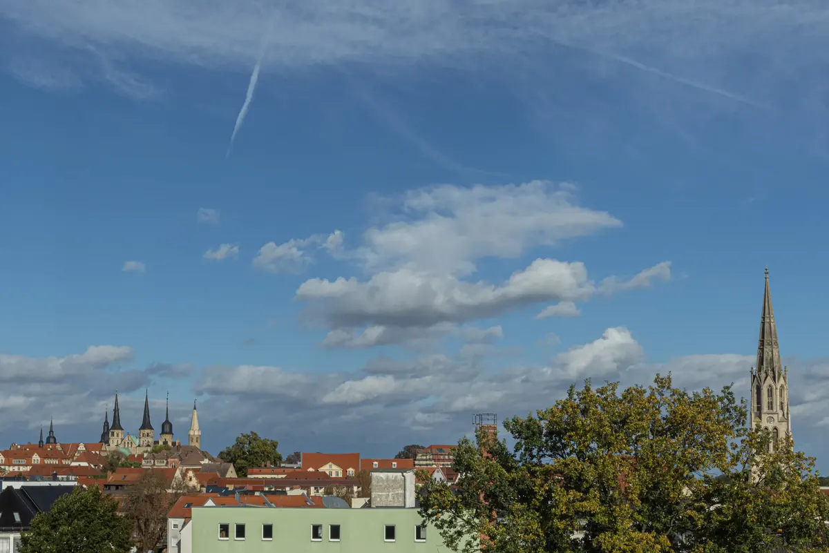 Gewölbte Holzschale im Penthouse